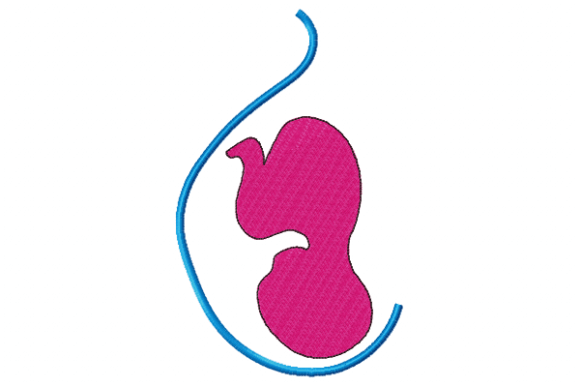 Pregnancy Embroidery Design Review for Real Projects